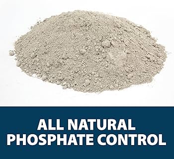 Amazon.com : Airmax EcoBoost PRx Natural Pond Water Clariﬁer